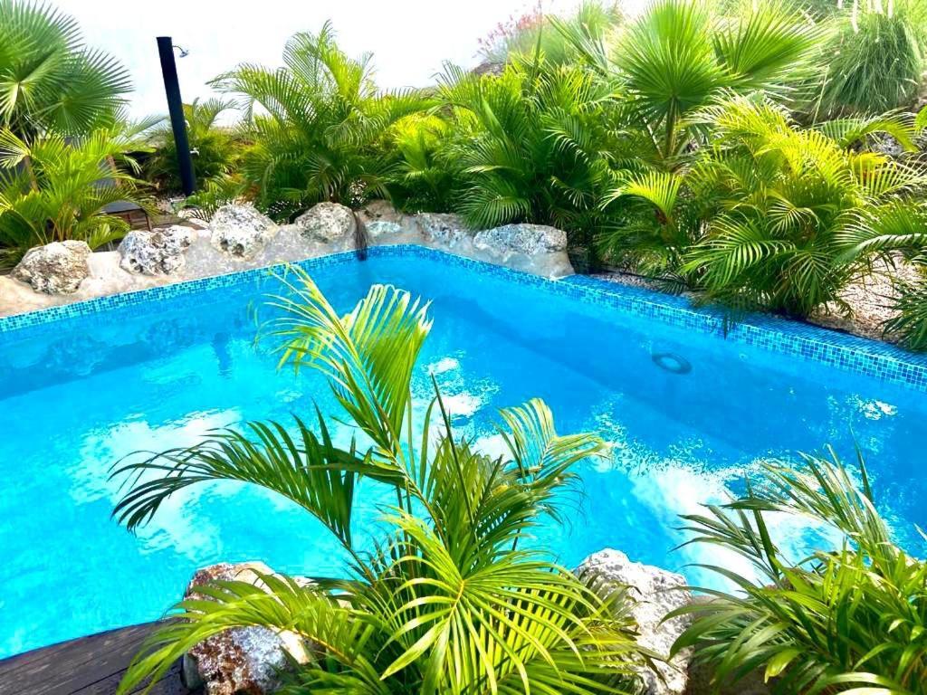Neue Villa Tropic Paradise วิลเลมสตัด ภายนอก รูปภาพ